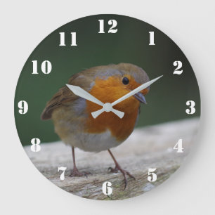 Robin Clock