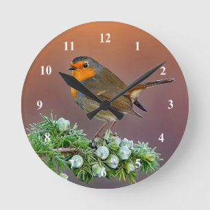 Robin Clock