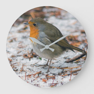 Robin Clock