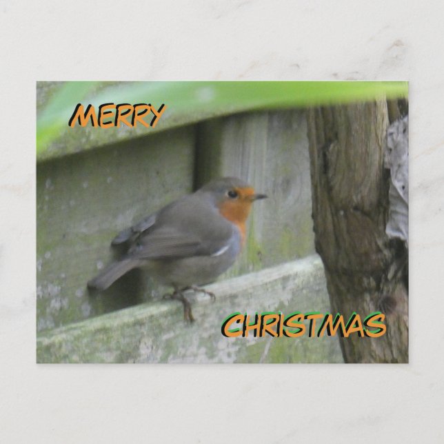 Robin Cust. Carte postale Joyeux Noël (Devant)