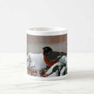 Robin dans la tasse de neige