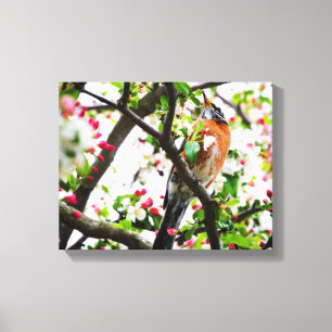 Robin dans la toile de floraison d'impression