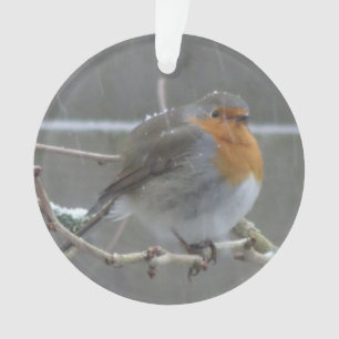 Robin dans l'ornement de neige