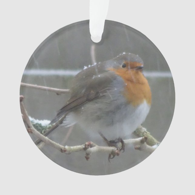Robin dans l'ornement de neige (devant)