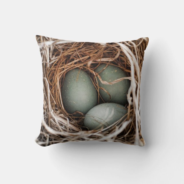 Robin Egg Blue Bird Nest Spring Mother Pillow (Front)