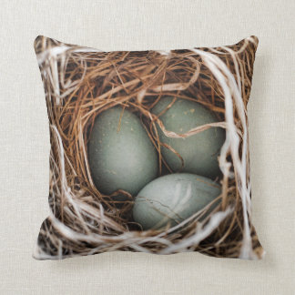 Robin Egg Blue Bird Nest Spring Mother Pillow