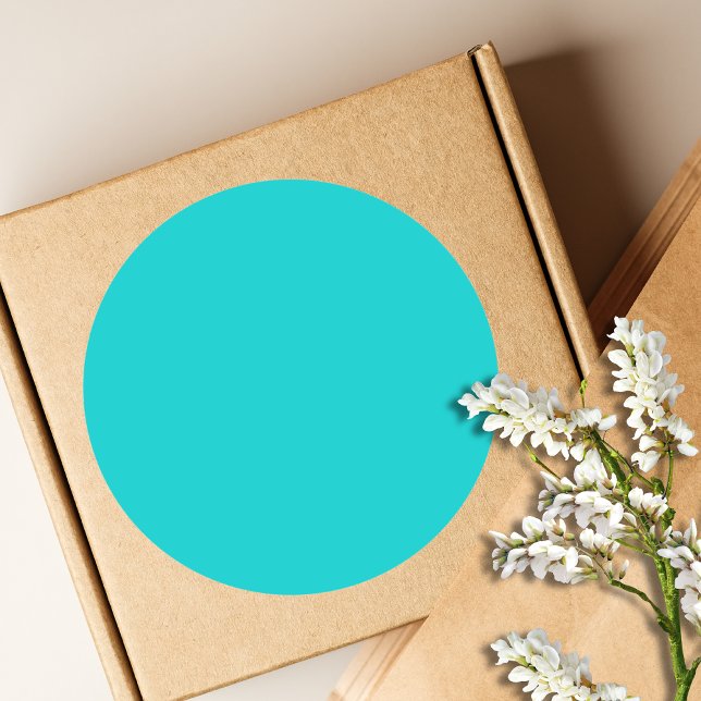 Robin Egg Blue Solid Colour | Classic | Elegant Round Sticker (Creator Uploaded)