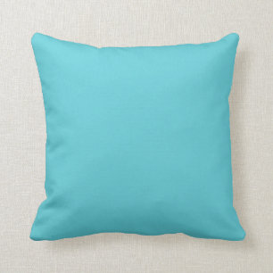 “Robin Egg Blue” Throw Pillow