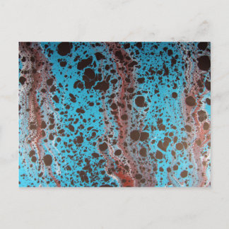 Robin Egg Shell 5184 x 3456.JPG Postcard