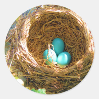 Robin Eggs in a Backyard Tree Nest Classic Round Sticker