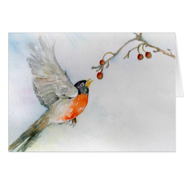 Robin en vol (Devant horizontal)