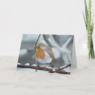 Robin greeting card