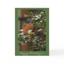 Robin Holiday Card