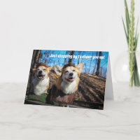 Robin Hood Corgi get well card