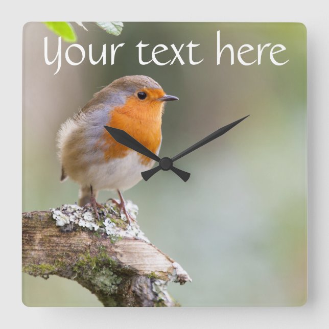 Robin horloge ajouter votre propre texte (Recto)