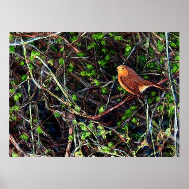 Robin in a hedge poster (Front)