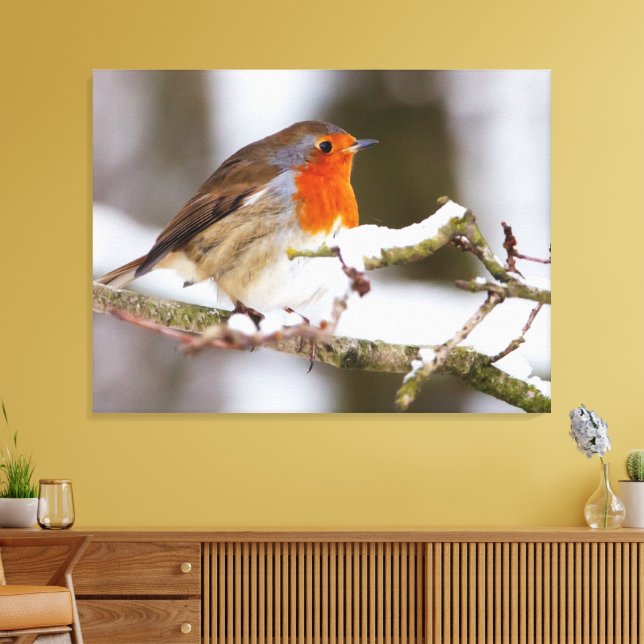 robin in snow canvas print (Insitu(LivingRoom))