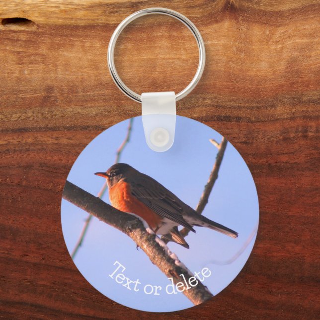 Robin In Snow Wildlife Nature Personalized Keychain (Front)