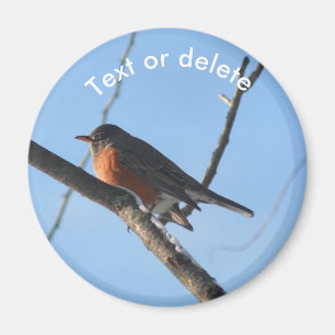 Robin In Snow Wildlife Nature Personalized Magnet