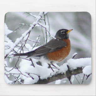 Robin in the Snow Bird Mousepad