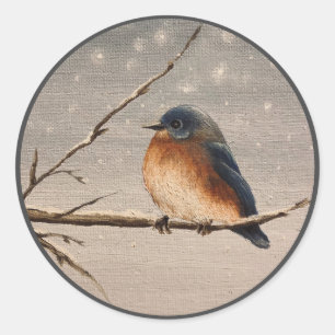 Robin in the Snow   Classic Round Sticker
