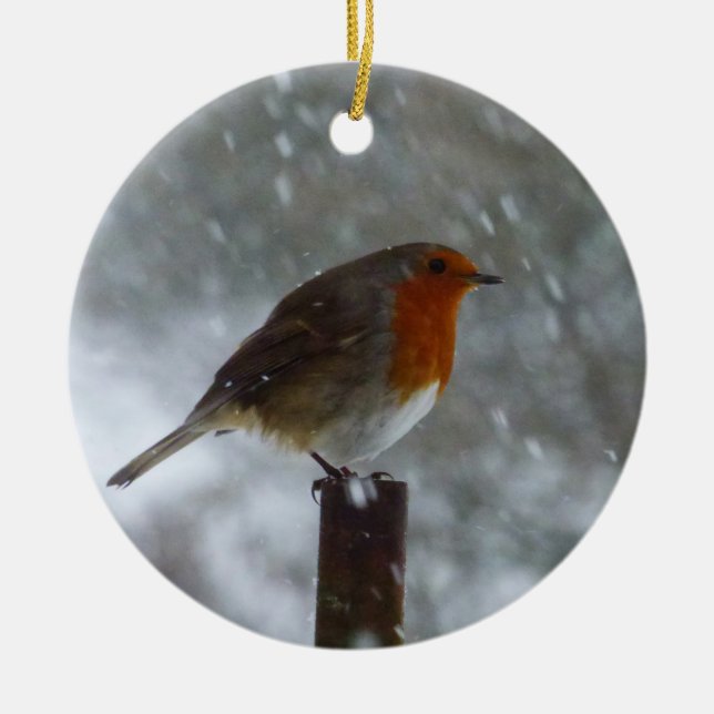 Robin in Winter Ceramic Ornament (Front)
