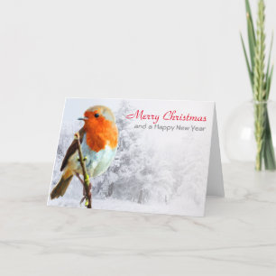 Robin in Winter Christmas Card