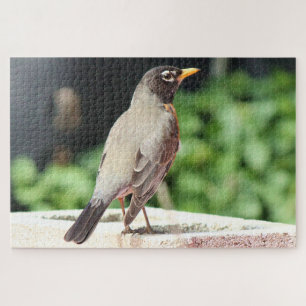Robin Jigsaw Puzzle