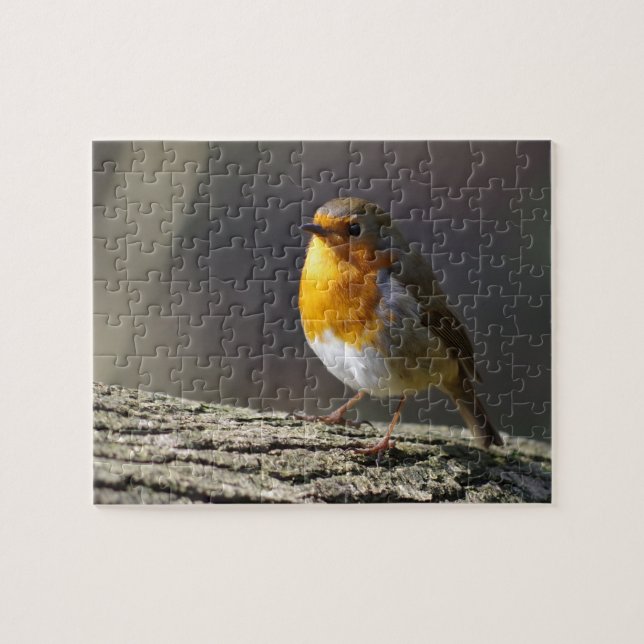 Robin Jigsaw Puzzle (Horizontal)