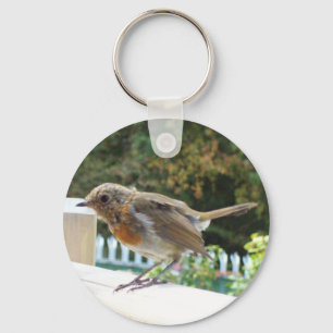 Robin Key Chain