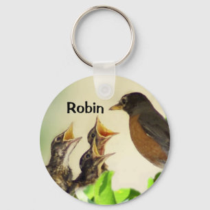 Robin Key Chain