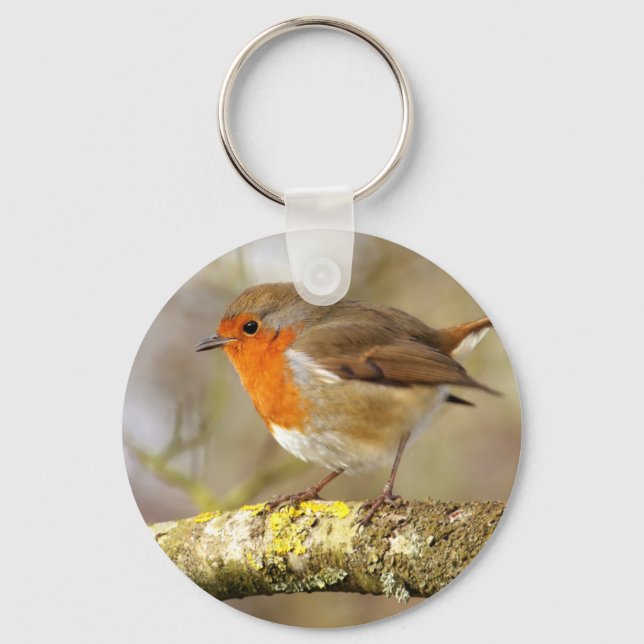 Robin Keychain (Front)