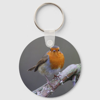 Robin Keychain