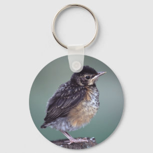 robin keychain