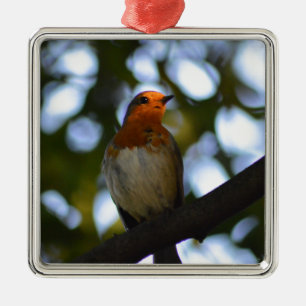 Robin Metal Ornament