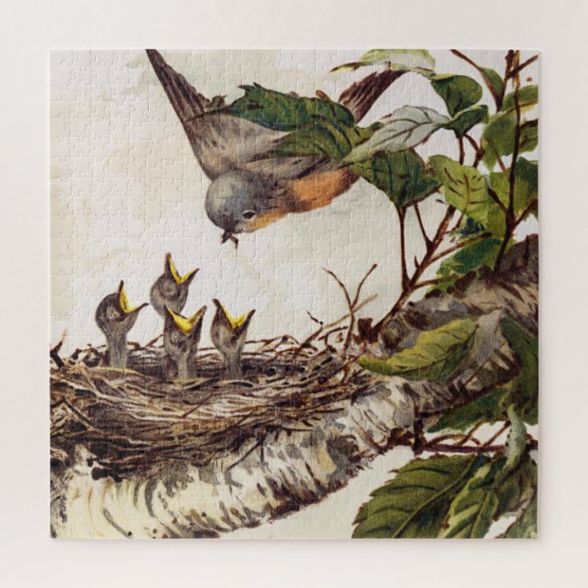 Robin mother bird feeding hatchlings in the nest jigsaw puzzle (Vertical)