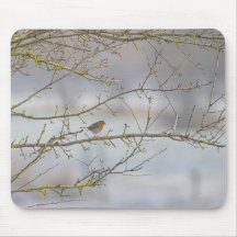 Robin Mouse Pad
