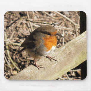 ROBIN MOUSE PAD