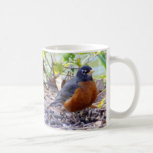 Robin mug