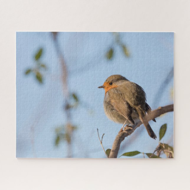 Robin Nature Photo Jigsaw Puzzle (Horizontal)