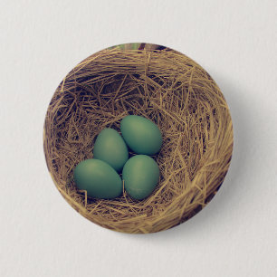 Robin Nest and Eggs 2 Inch Round Button