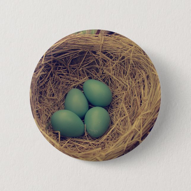 Robin Nest and Eggs 2 Inch Round Button (Front)