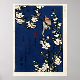 Robin On A Branch of Cherry Blossoms by K. Hokusia Poster