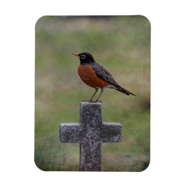 Robin on a cross magnet (Vertical)