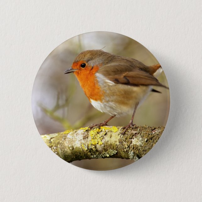 Robin on Branch 2 Inch Round Button (Front)