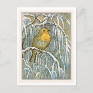Robin on Snowy Tree Branch Postcard