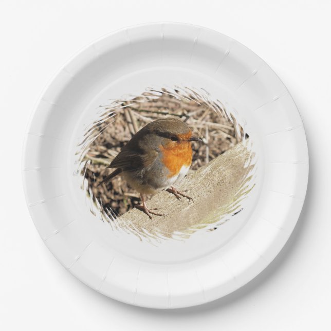 ROBIN PAPER PLATE (Front)