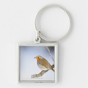 Robin perched on a branch in winter keychain