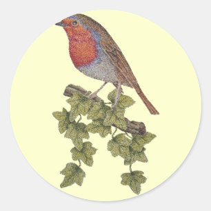 Robin perched on ivy leaf customizzable classic round sticker