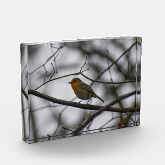 Robin photo block